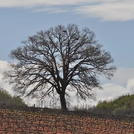 Il Riparo Di Villa Capalbio